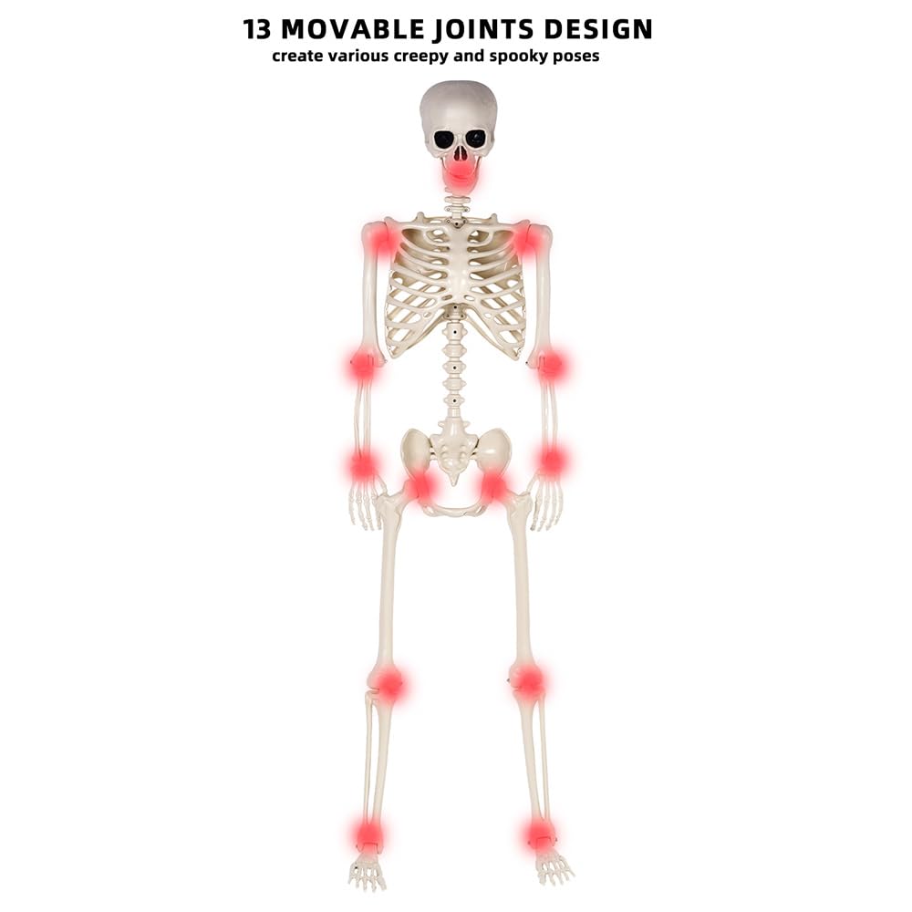 5.4 ft Life Size Posable Plastic Skeleton Y8665