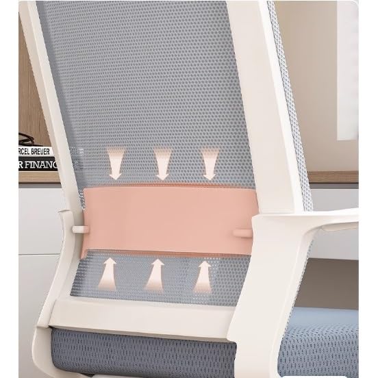 Ergonomic Mesh Office Chair S258