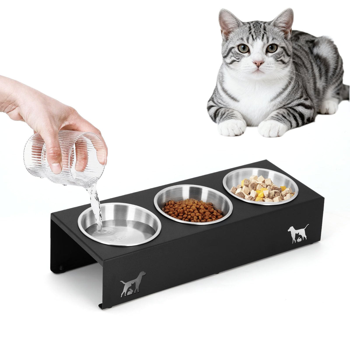 15° Tilted Stainless Steel Cat Bowls 3 Pack Q841