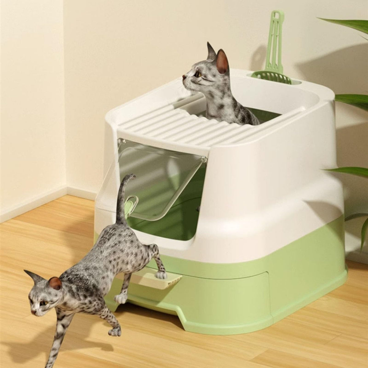 Large Top Entry Cat Litter Box with Lid and Scoop R5855