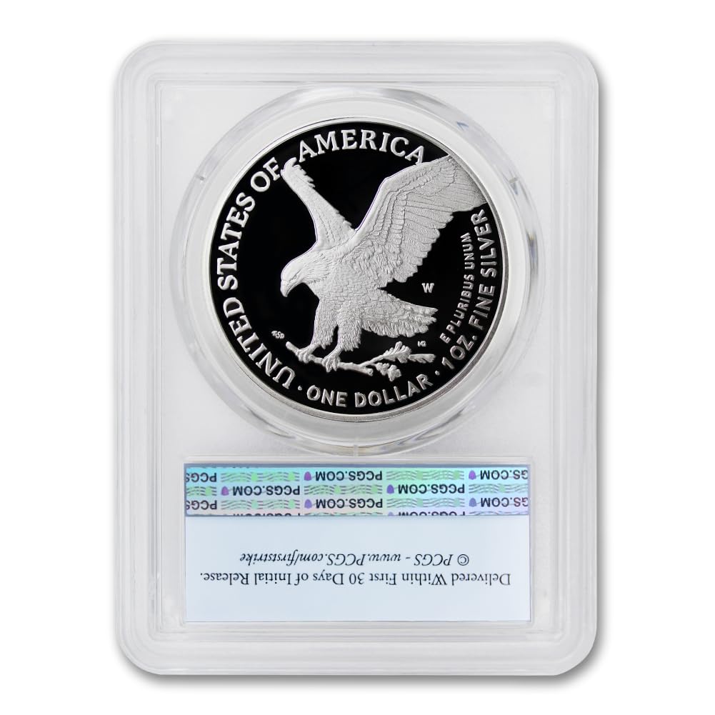 1 oz American Silver Eagle Proof Coin C25735