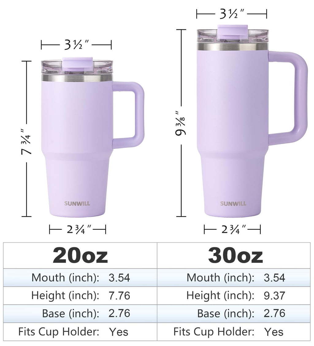 20 oz Insulated Stainless Steel Tumbler with Handle and Straw V6723