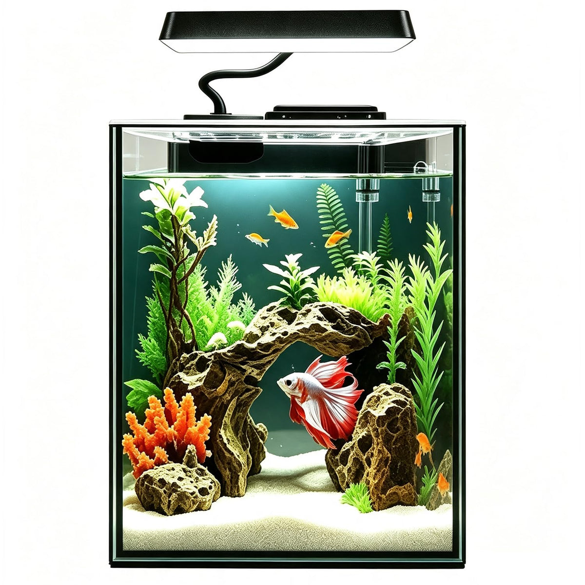 1.5 Gallon Glass Betta Aquarium Starter Kit with LED Light and Power Filter V314