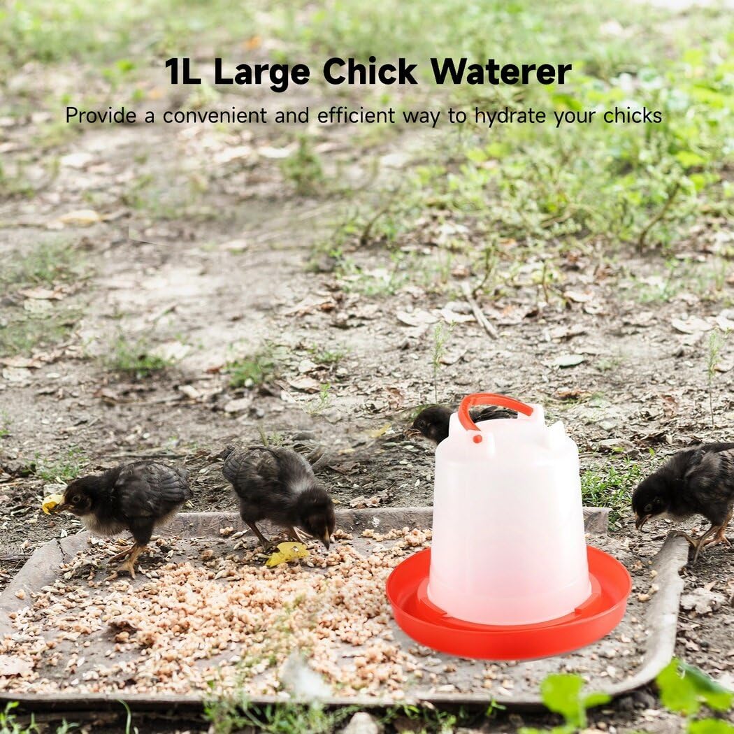 4-Pack 1L Poultry Waterer with Handle G16639