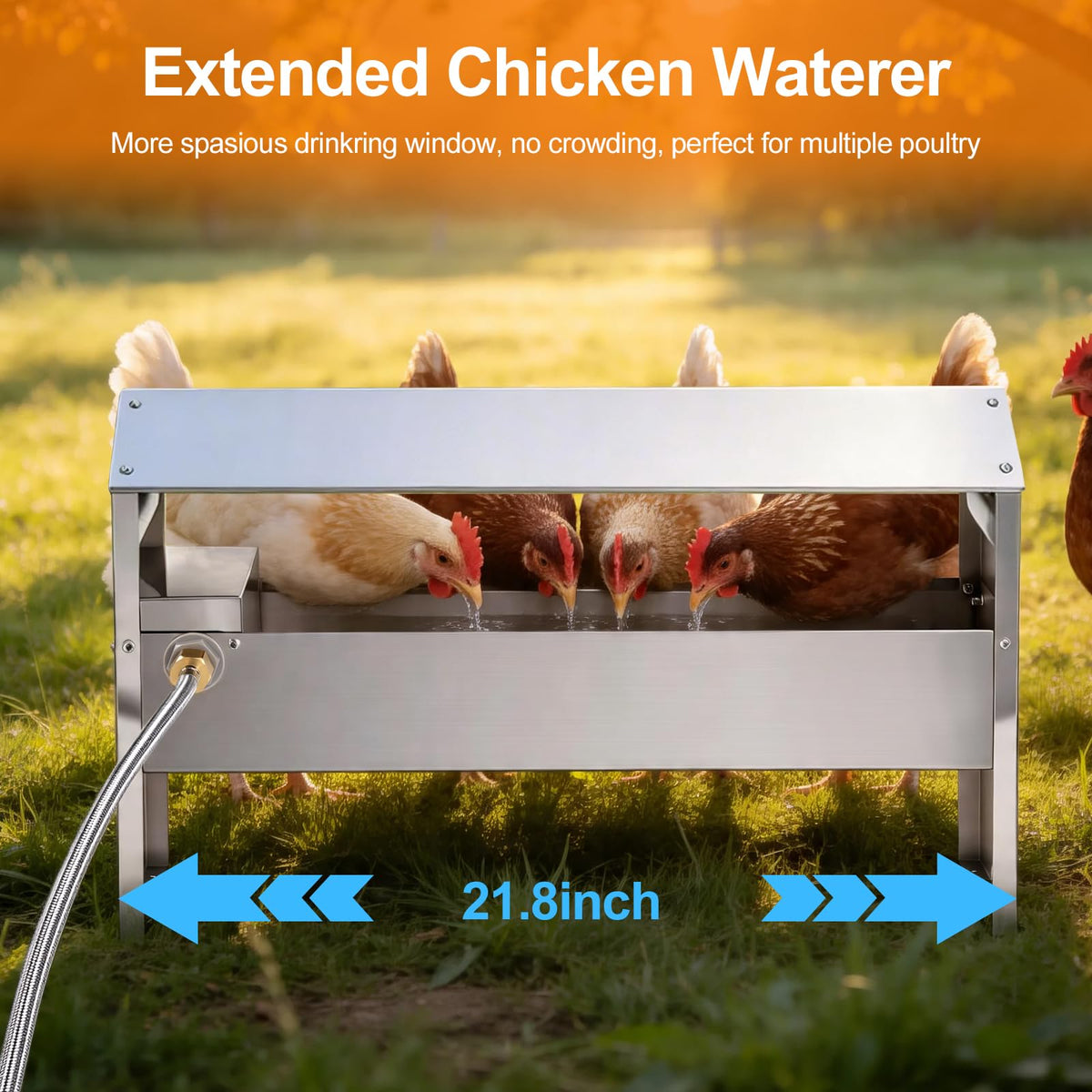 22'' Stainless Steel Automatic Chicken Waterer F492