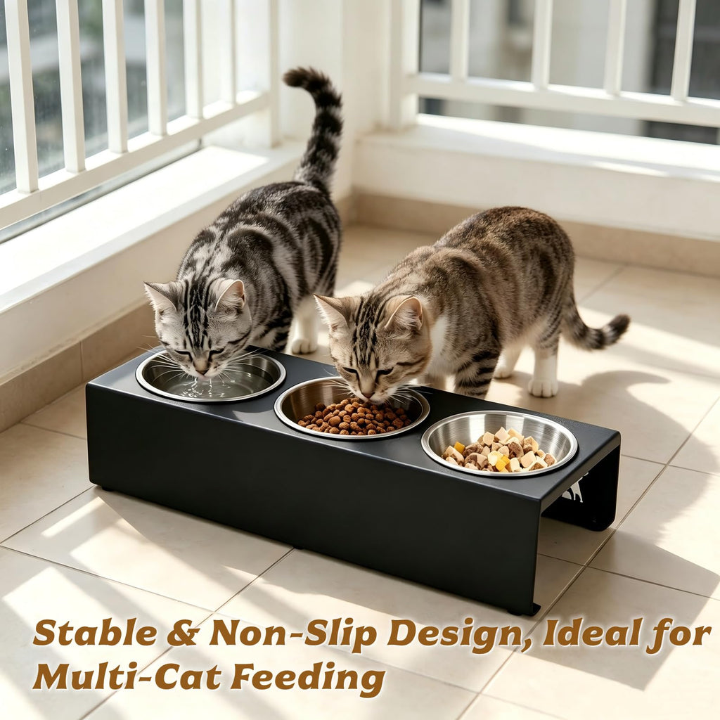 15° Tilted Stainless Steel Cat Bowls 3 Pack Q841