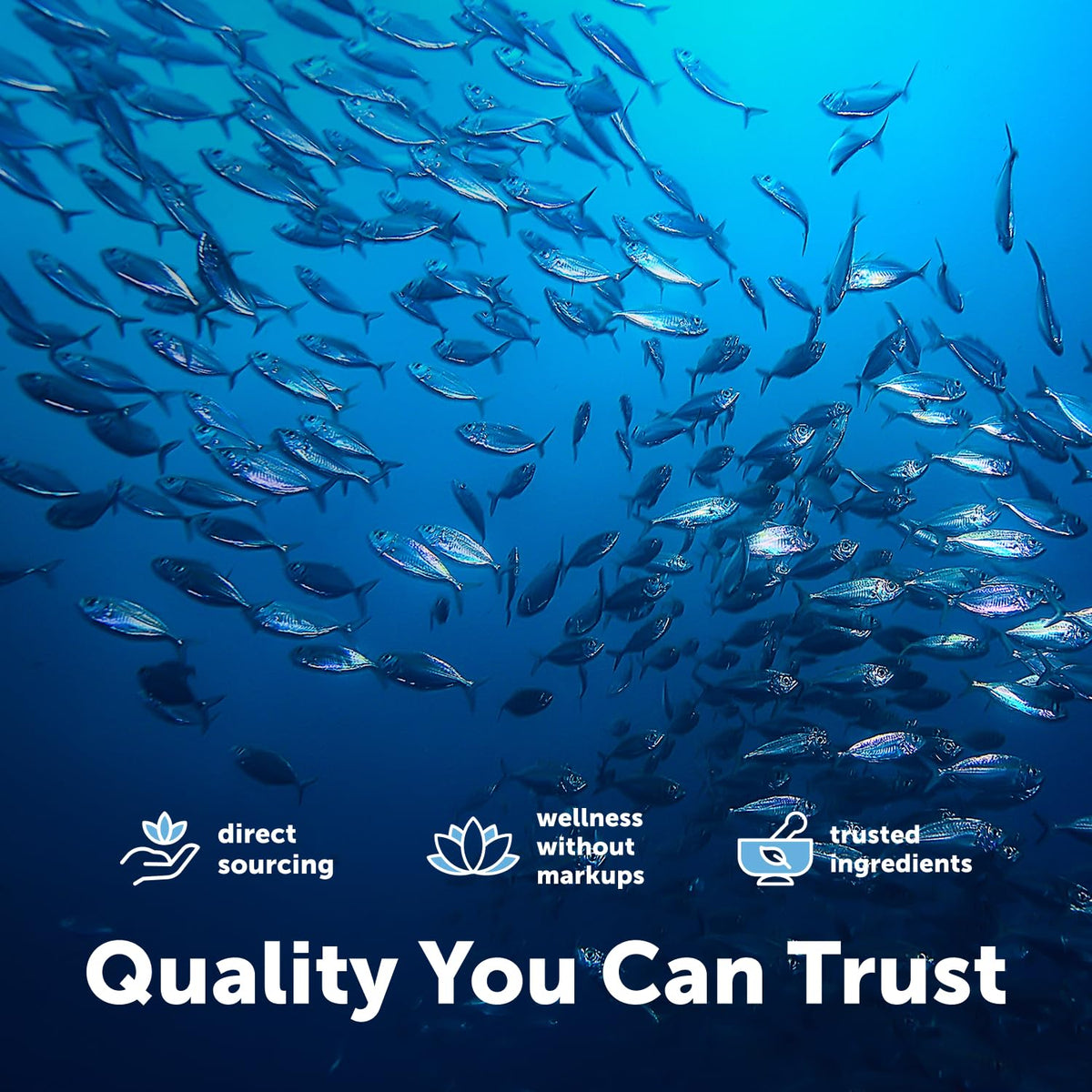 Omega-3 Fish Oil 4,200 mg Y385