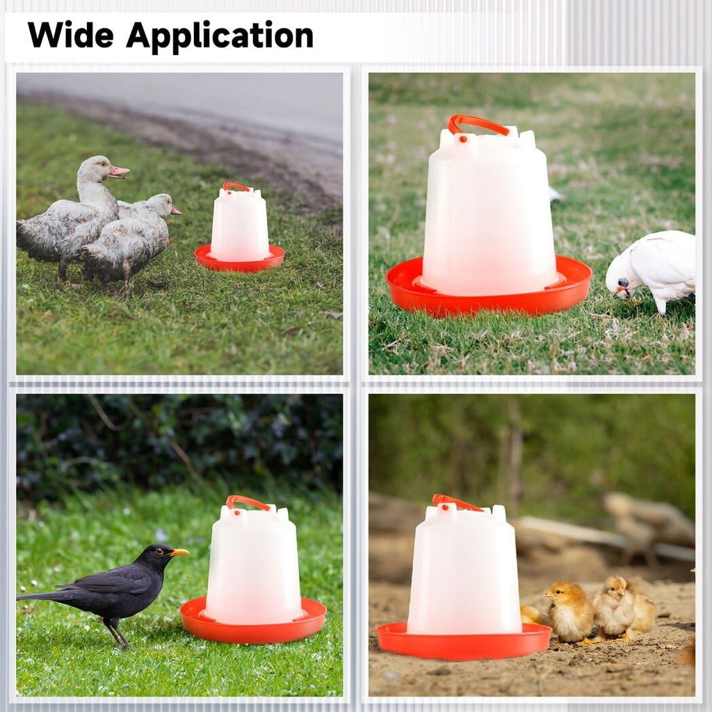 4-Pack 1L Poultry Waterer with Handle G16639