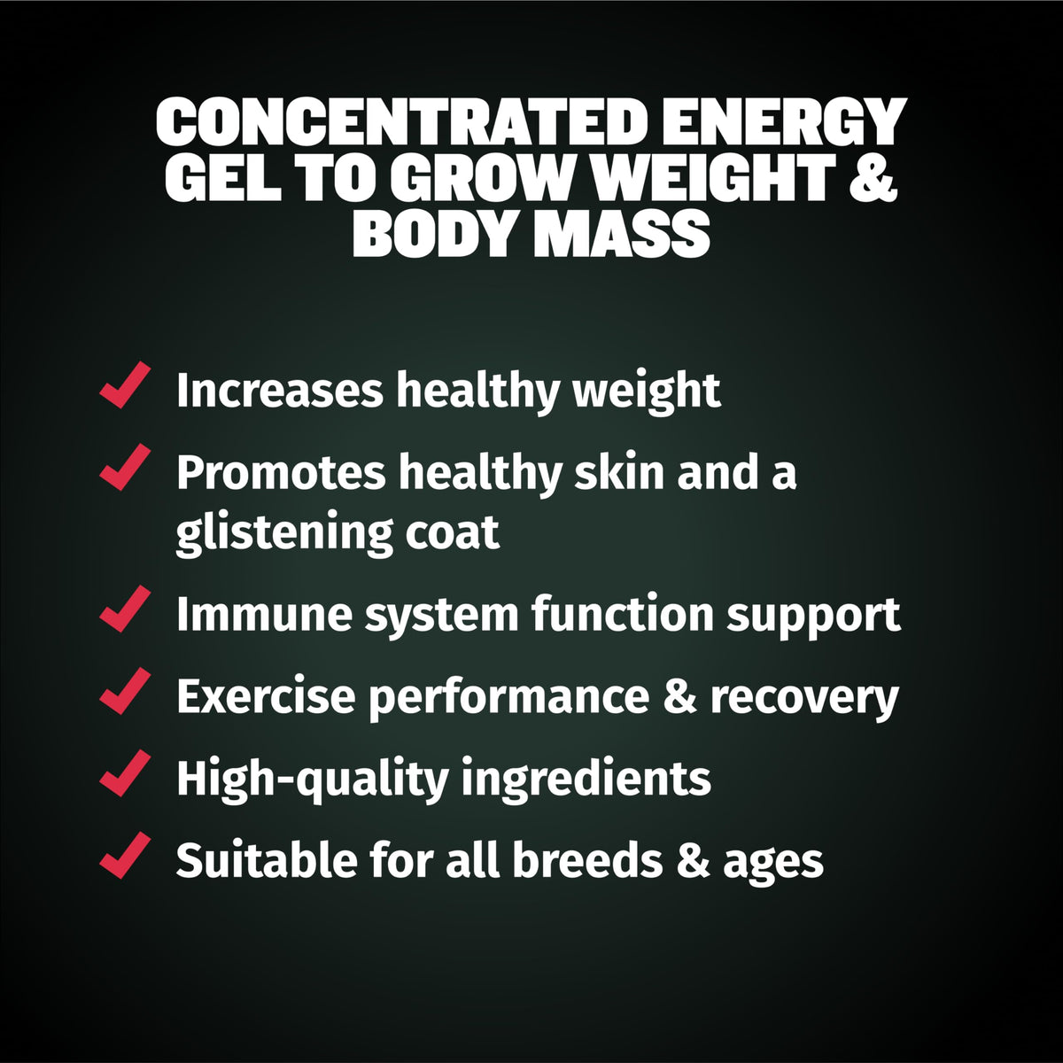 High-Calorie Liquid Weight Gainer & Soft Chews for Dogs I958023