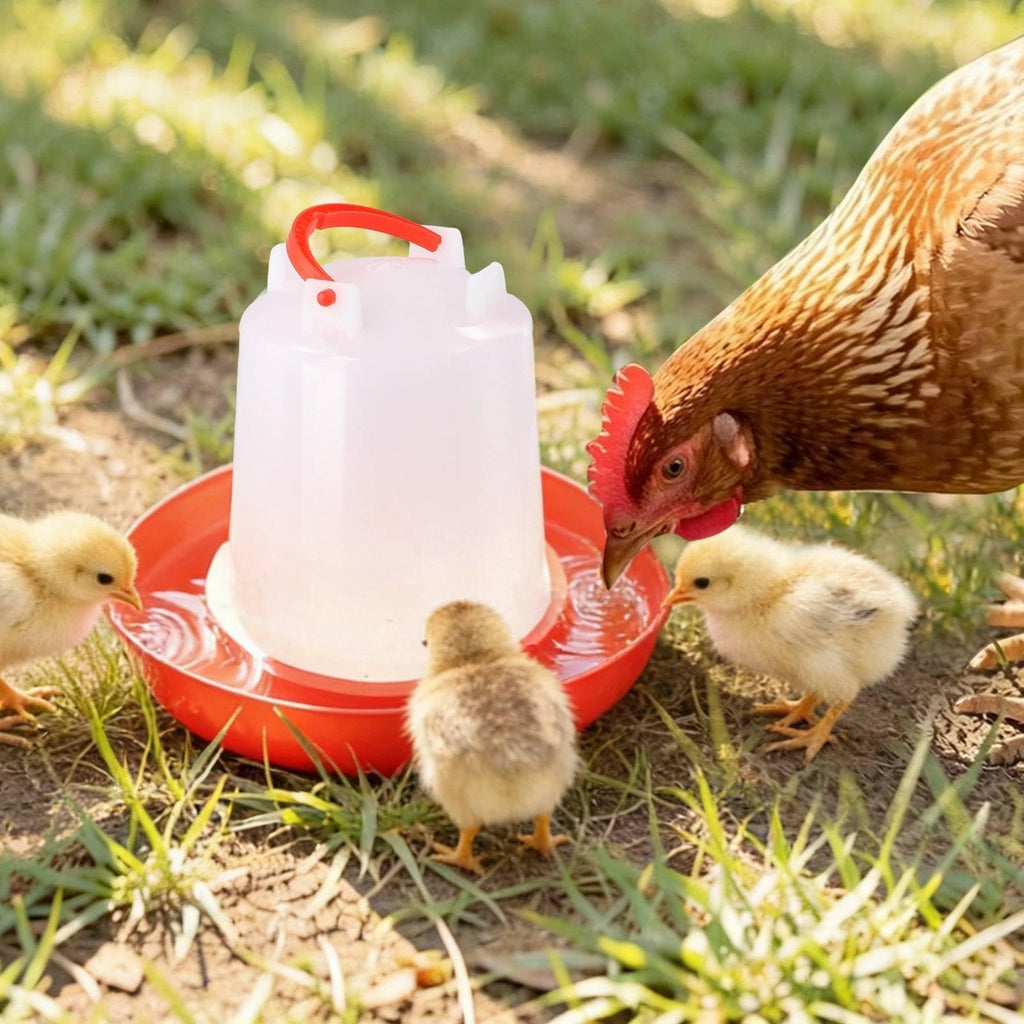 4-Pack 1L Poultry Waterer with Handle G16639