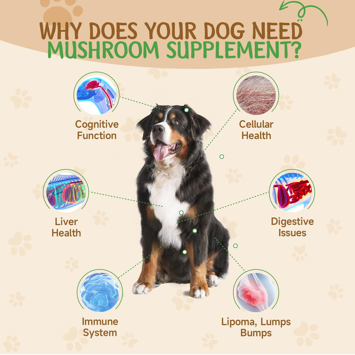 9 in 1 Mushroom for Dogs S39650