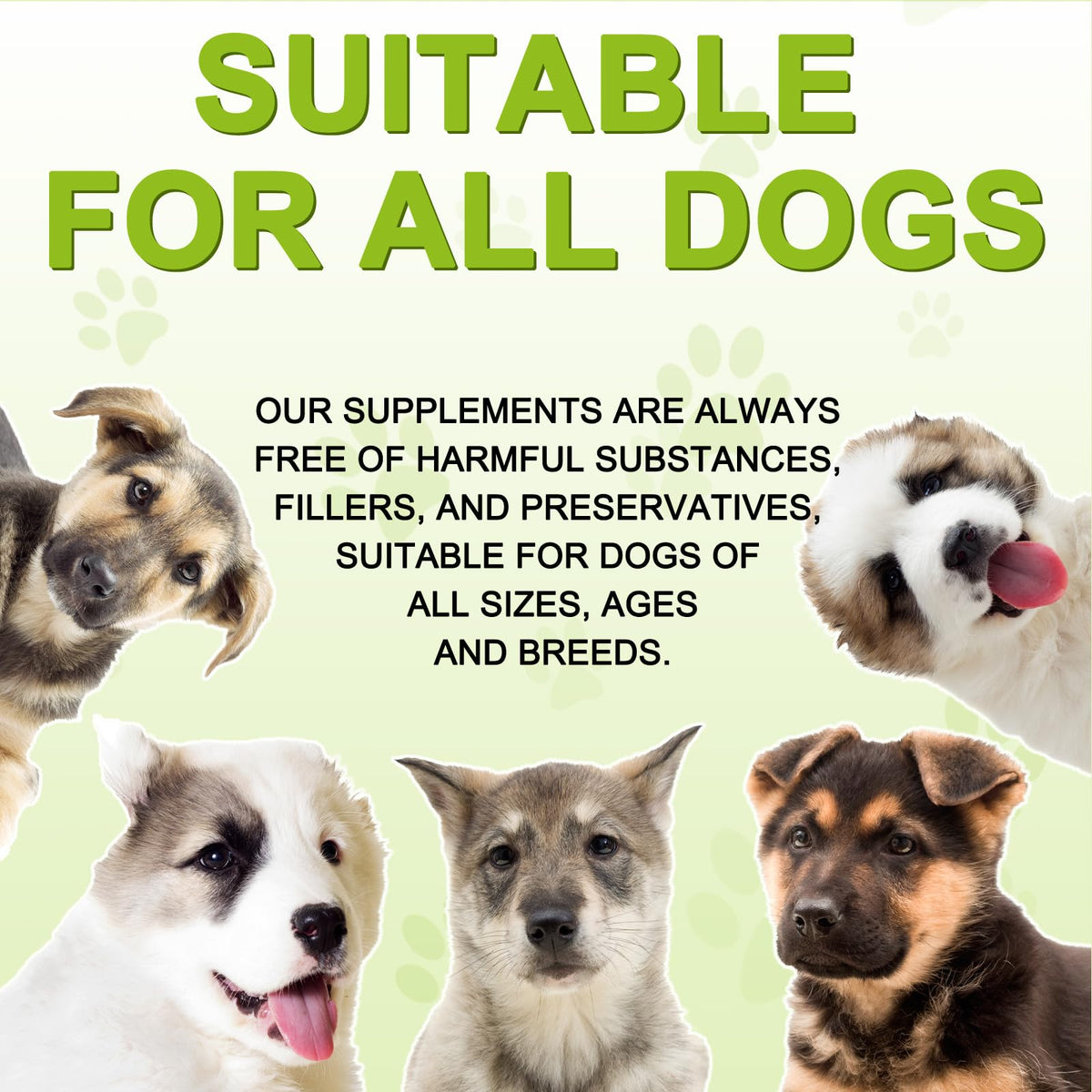 180 Chewable Milk Thistle Tablets for Dogs K576529