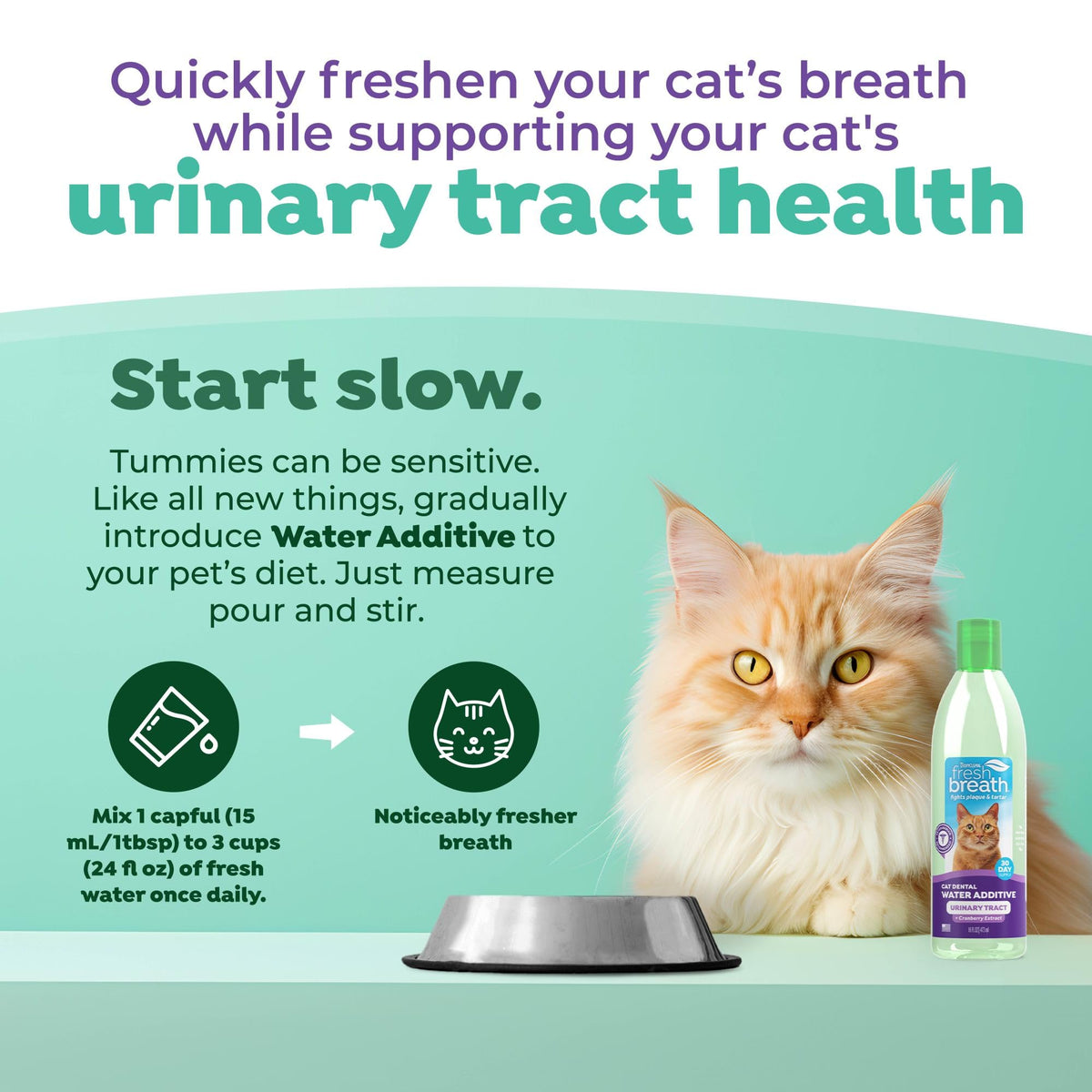 Fresh Breath Water Additive for Cats 16oz T635078