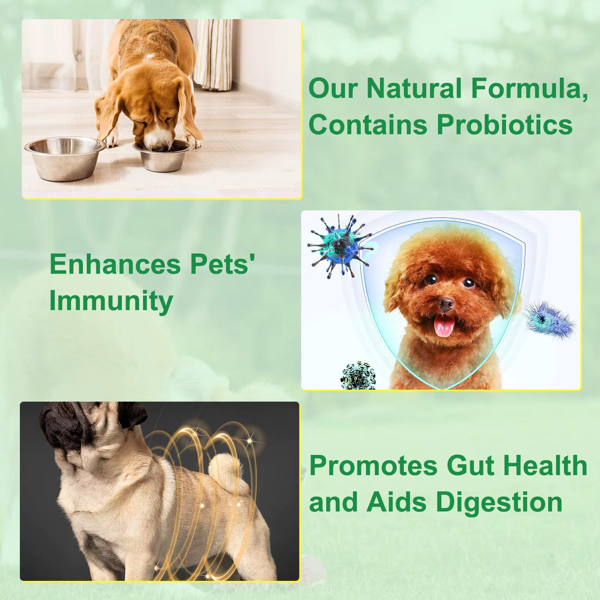 Natural Broad Spectrum Herbal Cleanse Digestive Support Supplement Drops with Probiotics S7328