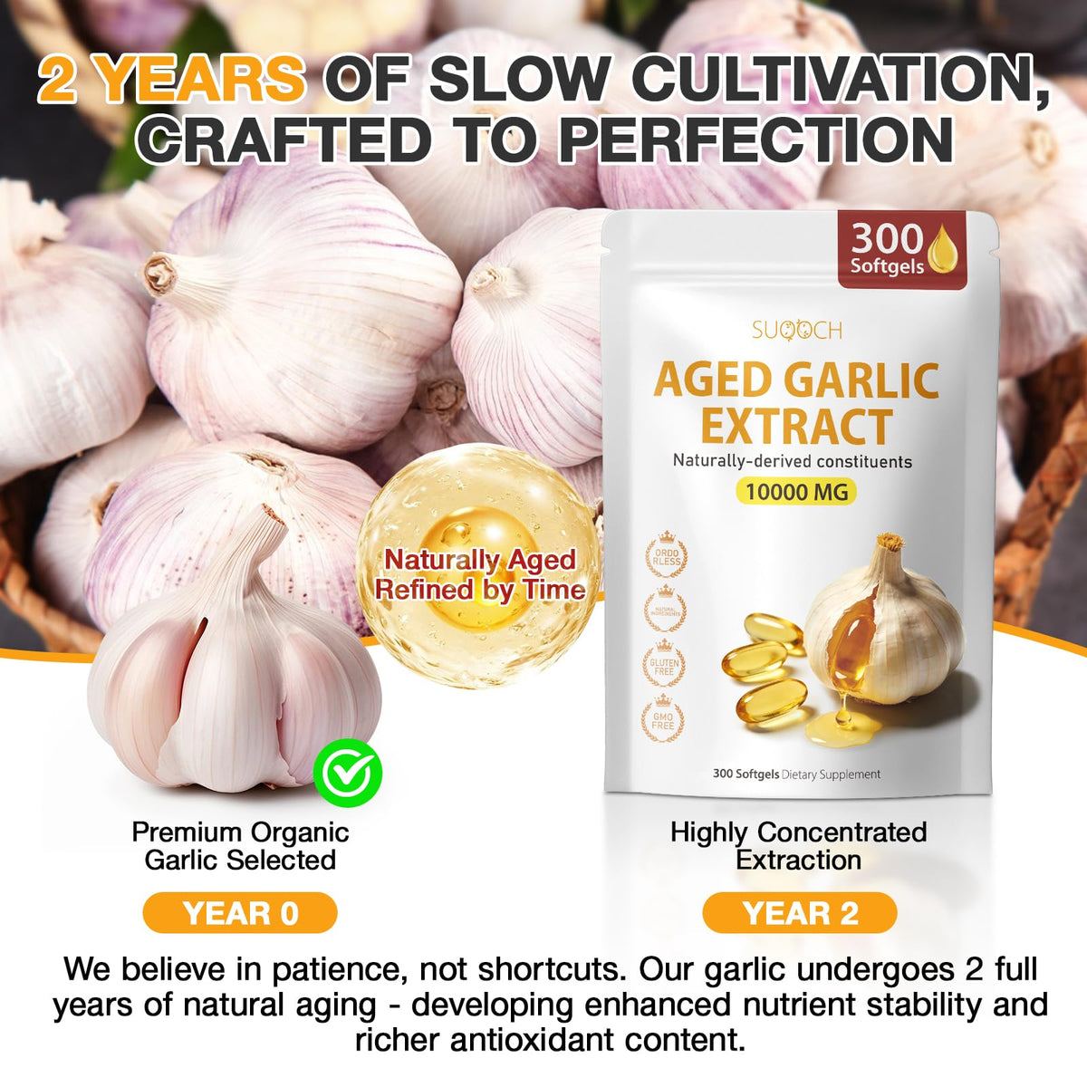 Aged Garlic Extract Softgels B44972