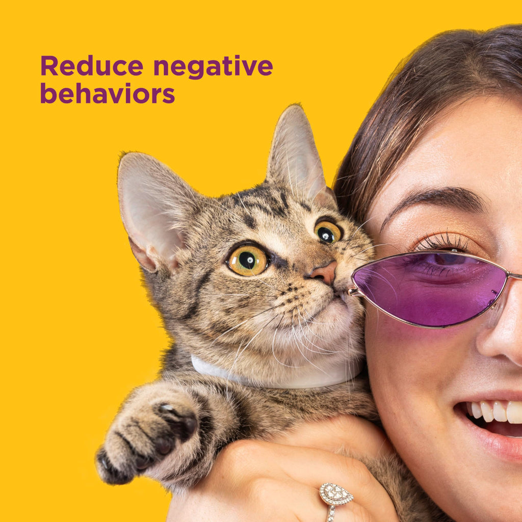 Cat Calming Collar 2 Pack G875850