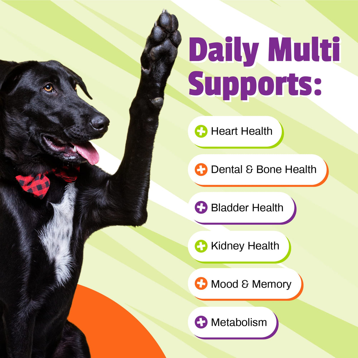Daily Multivitamin Chews for Dogs, 30 Count N443445