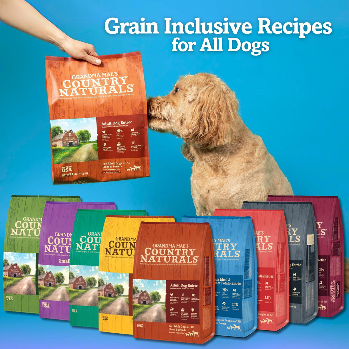 Chicken & Brown Rice Dry Dog Food 12 LB Bag R5781