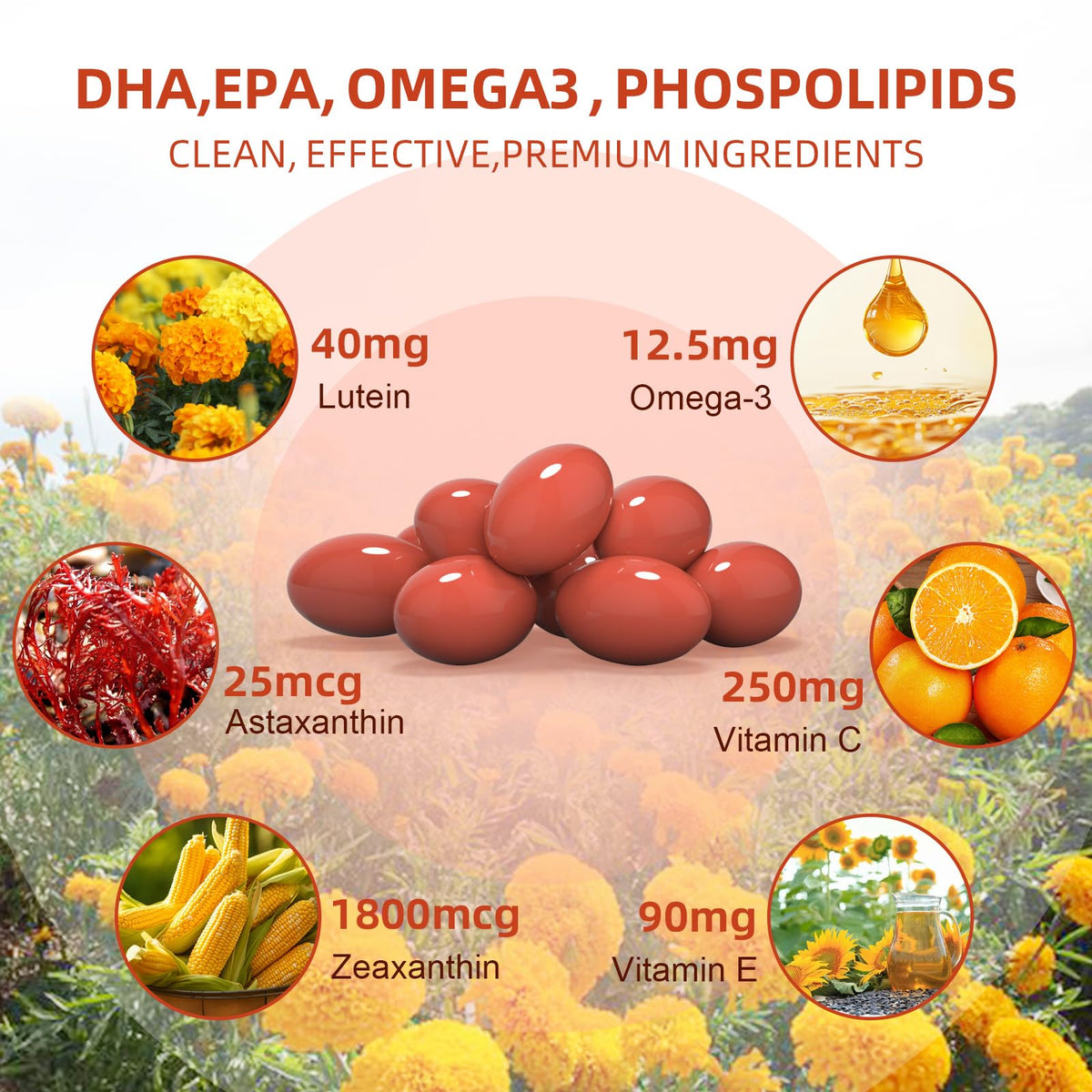 Lutein and Zeaxanthin Softgels with Vitamins C, E, Omega 3 Q277104