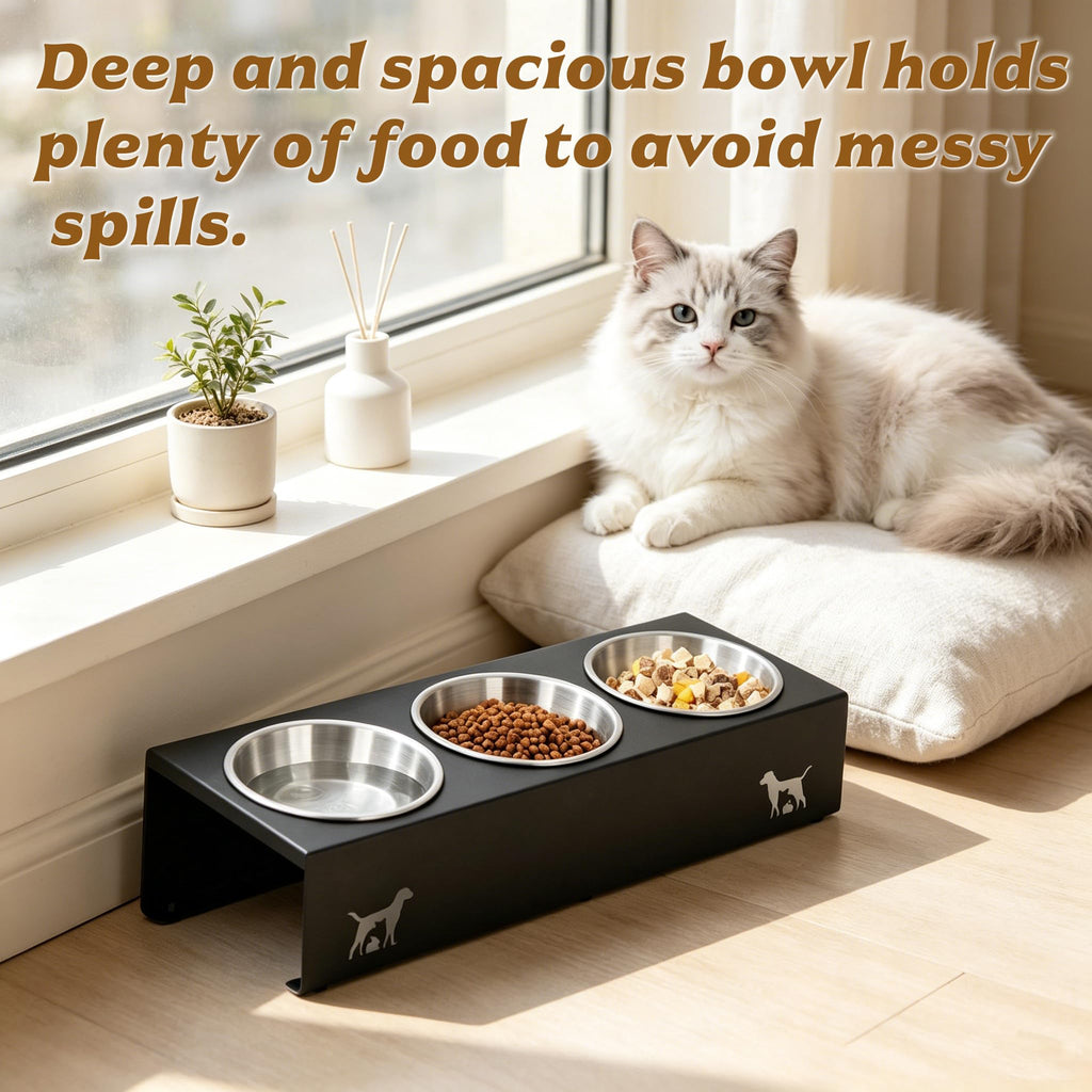 15° Tilted Stainless Steel Cat Bowls 3 Pack Q841
