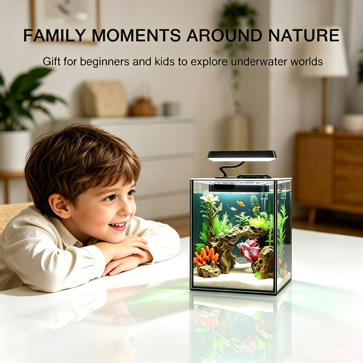 1.5 Gallon Glass Betta Aquarium Starter Kit with LED Light and Power Filter V314