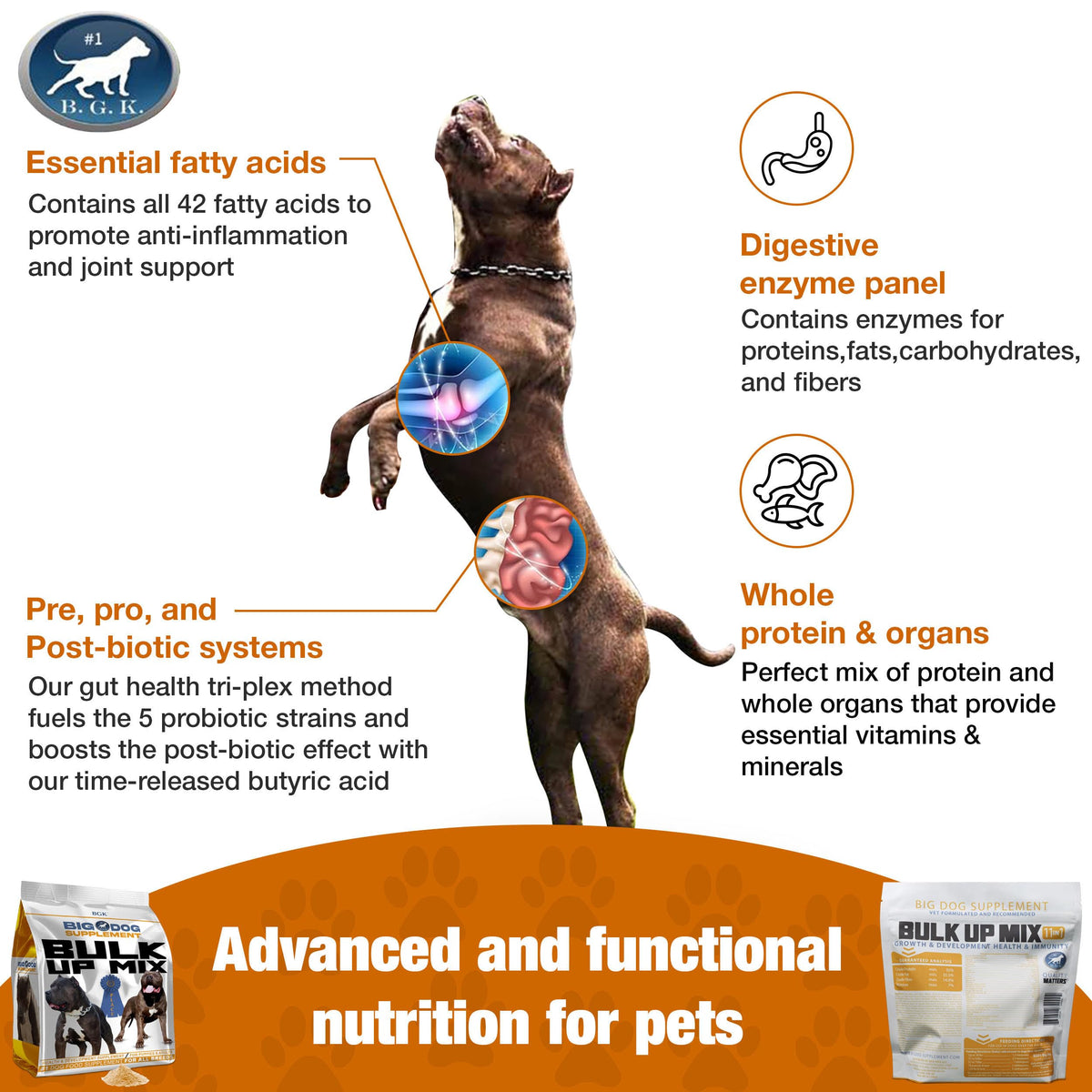 Big Dog Supplement B493
