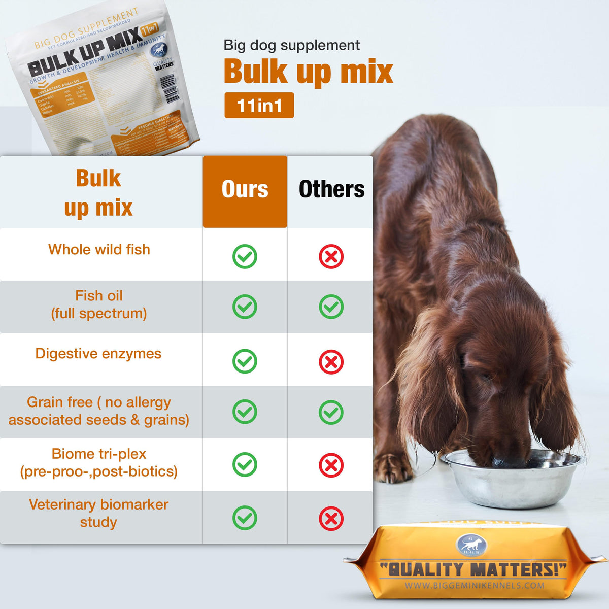 Big Dog Supplement B493