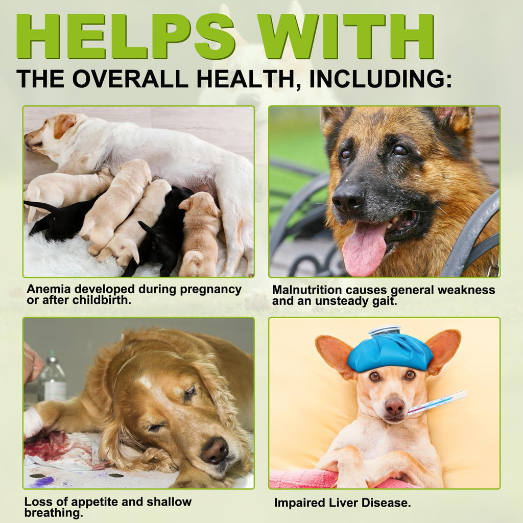 180 Chewable Milk Thistle Tablets for Dogs K576529