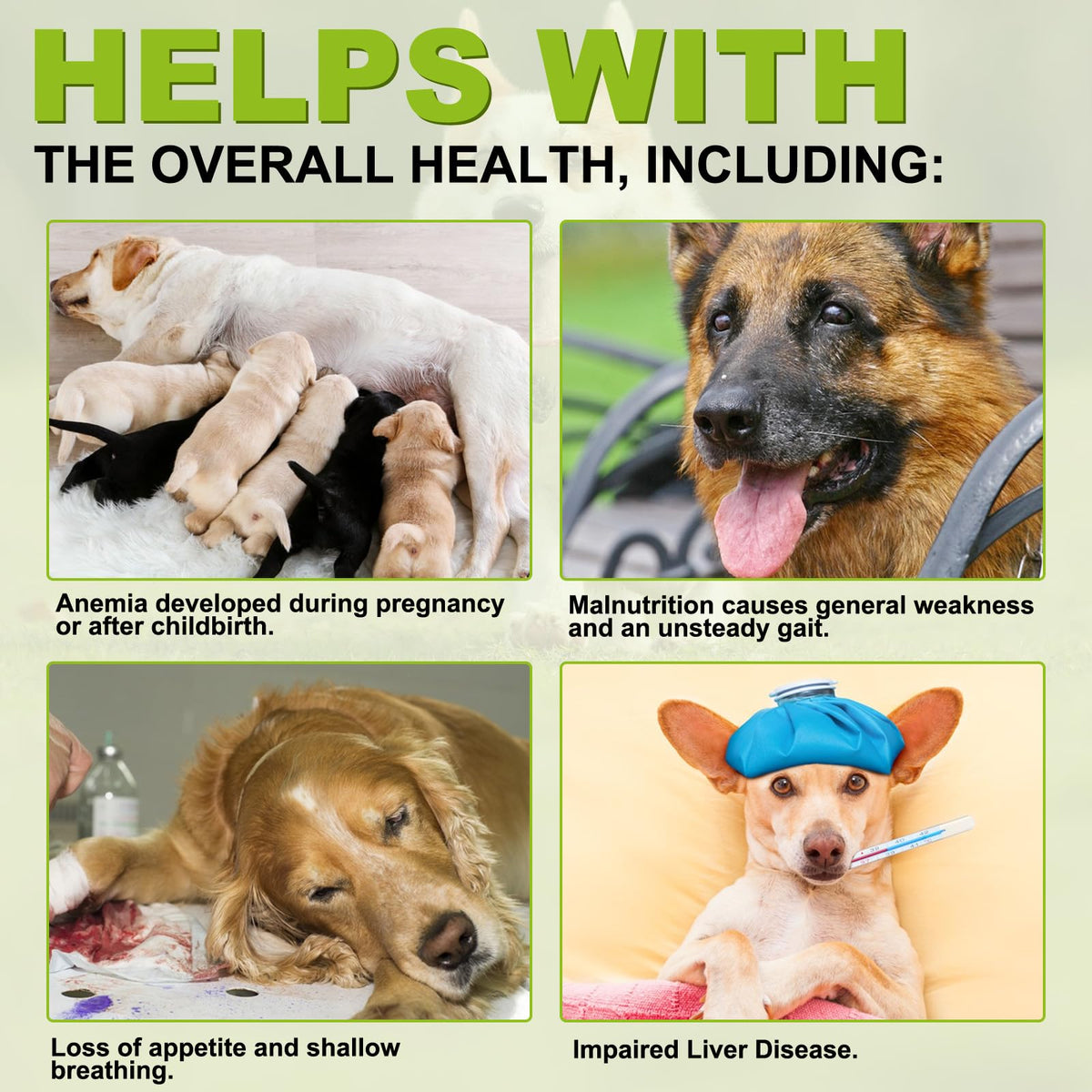 180 Chewable Milk Thistle Tablets for Dogs K576529