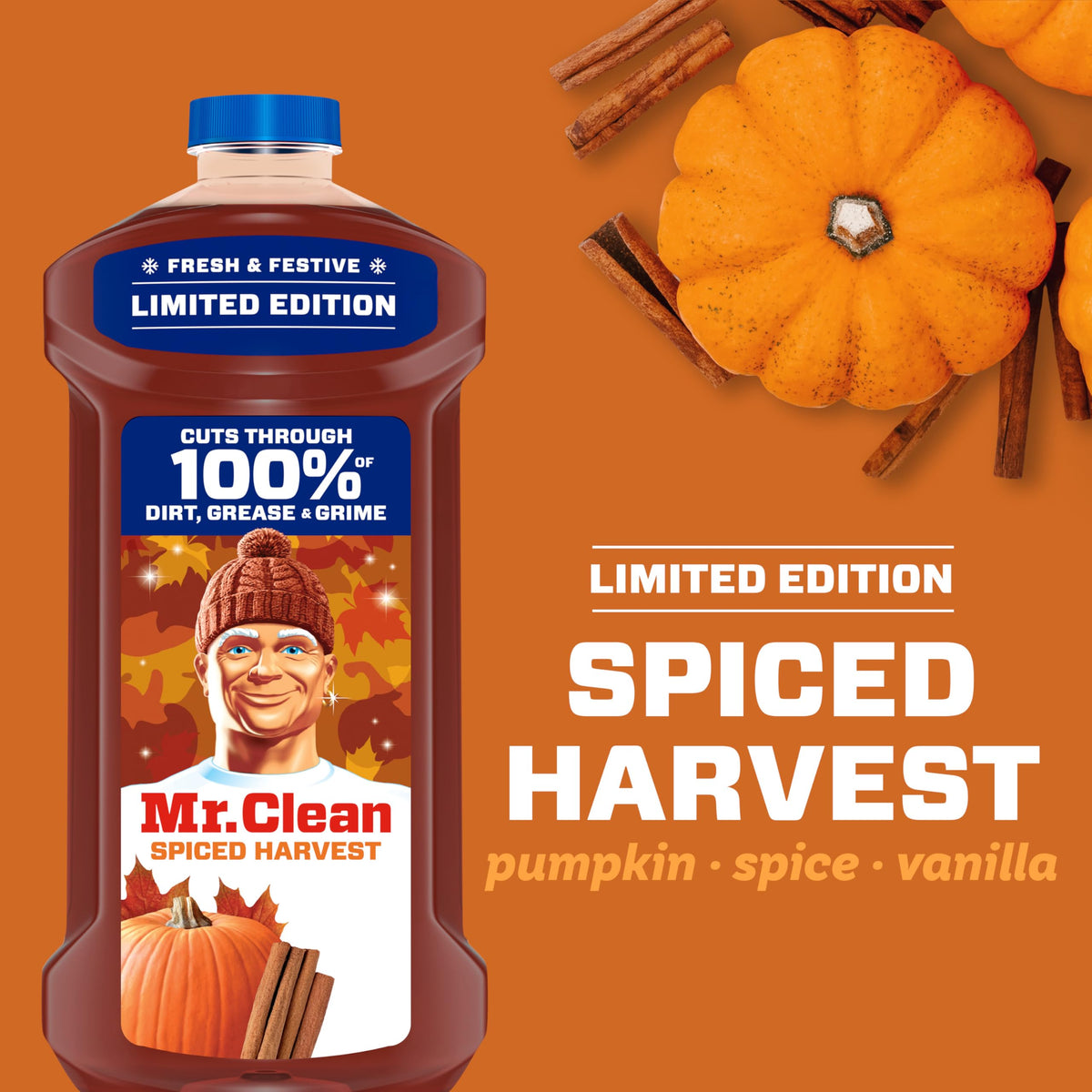 All Purpose Cleaner, Spiced Harvest, 41oz R84662