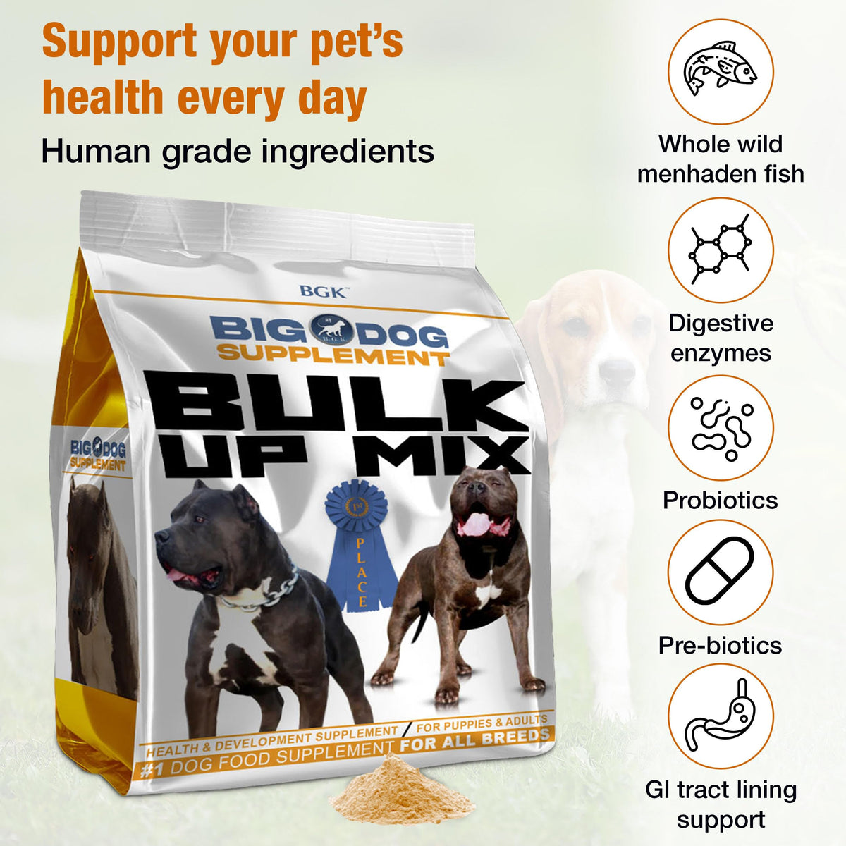 Big Dog Supplement B493