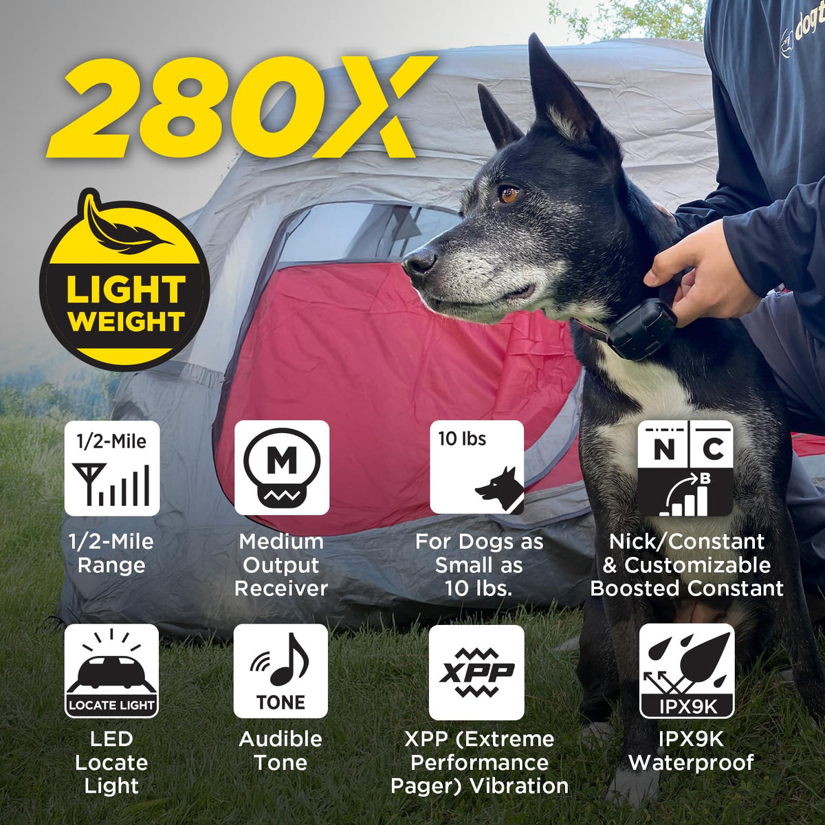 Waterproof E-Collar with Remote L36370