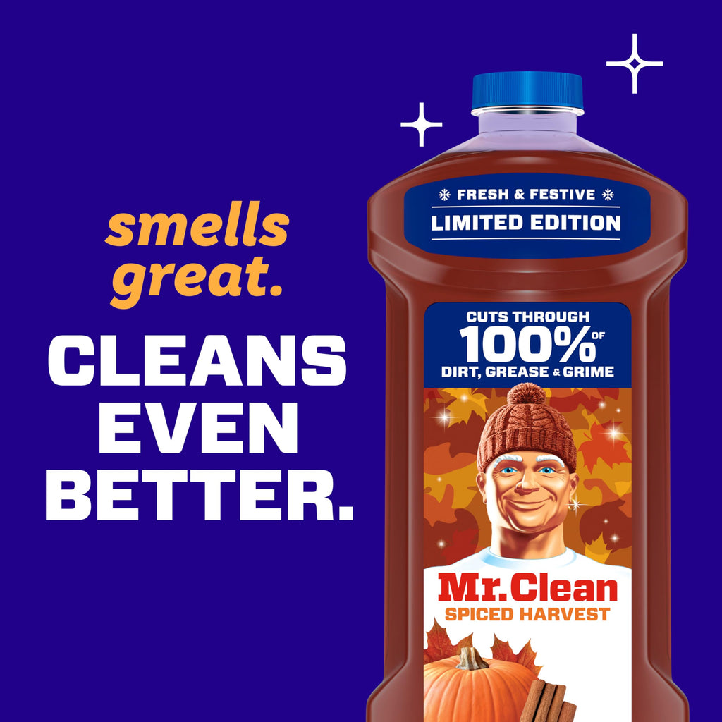All Purpose Cleaner, Spiced Harvest, 41oz R84662