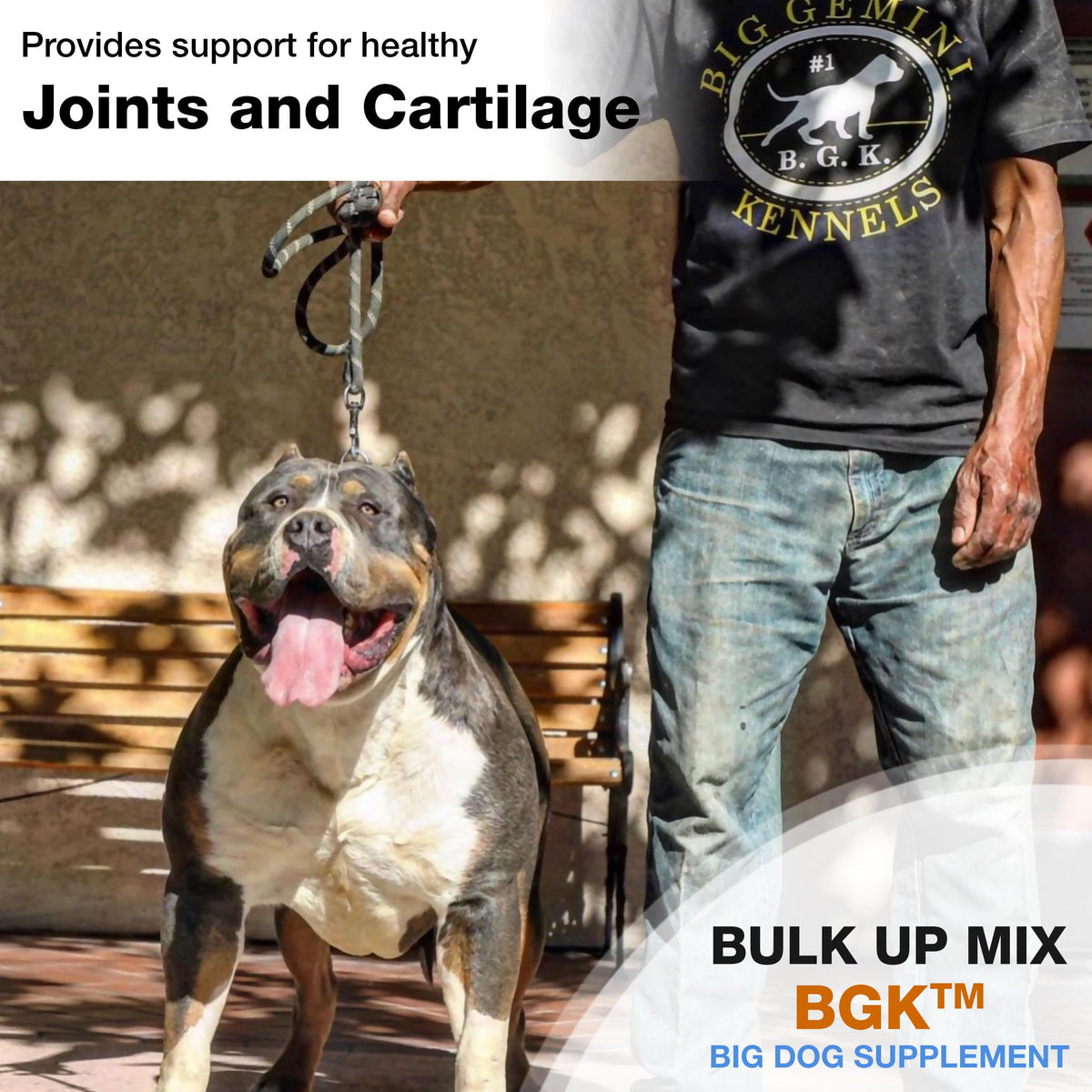 Big Dog Supplement B493