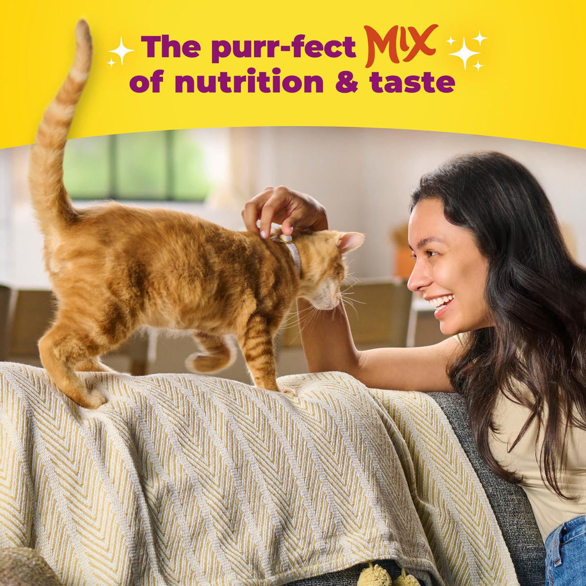 Indoor Health Dry Cat Food 6.3 Pound Bag Y56747